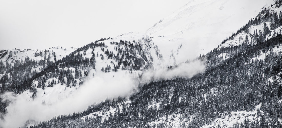 llfhero Level Field Fund